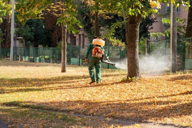 Bird Control in Sissonville, WV